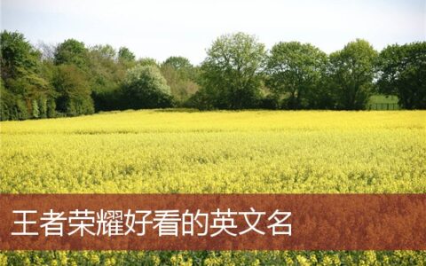 王者荣耀好看的英文名