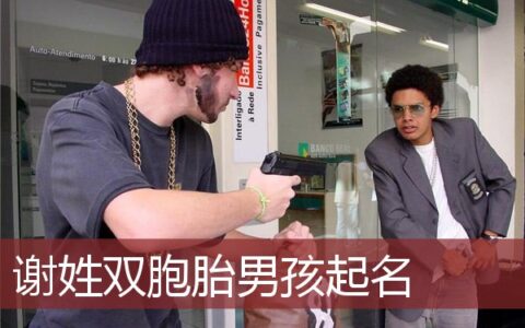 谢姓双胞胎男孩起名