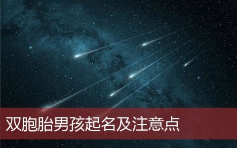 双胞胎男孩起名及注意点