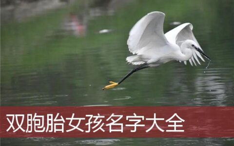 双胞胎女孩名字大全