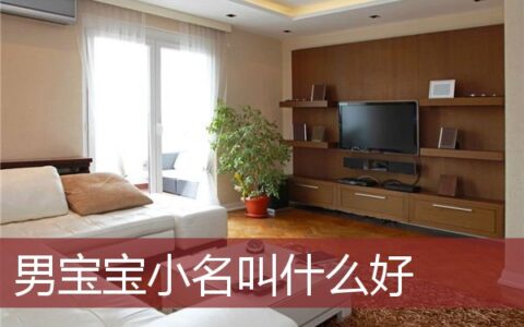 男宝宝小名叫什么好