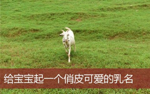 给宝宝起一个俏皮可爱的乳名