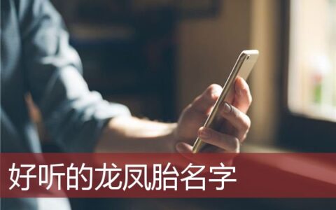 好听的龙凤胎名字
