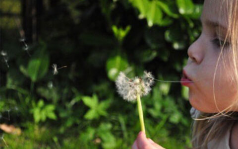 女性叫哪些名字一生命运多舛