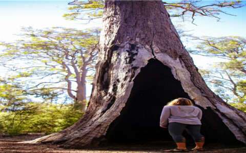 什幺样的姓名易犯小人