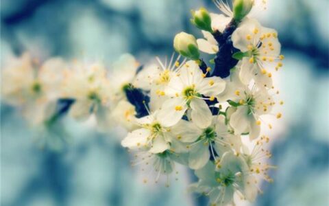 伤感的英文网名