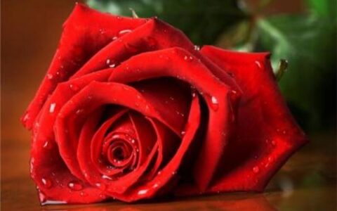 高端大气的英文网名