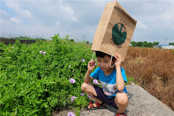 2023年6月15日出生的宝宝五行缺什么