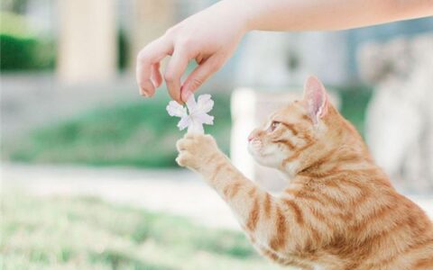 2022年最时尚英文大全