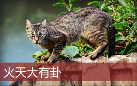 火天大有卦