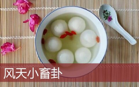 风天小畜卦