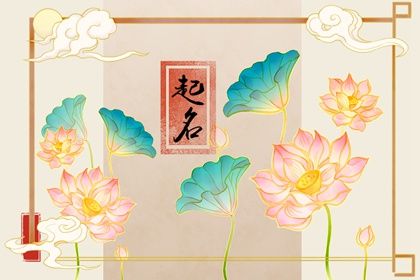 新生婴儿免费取名大全2022 出水芙蓉的宝宝名字