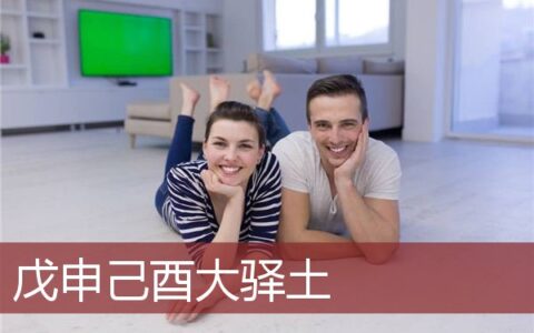 戊申己酉大驿土