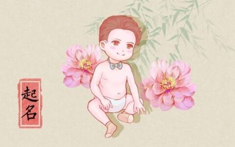 2023兔宝宝最火乳名满米  可爱又软萌的新生儿小名