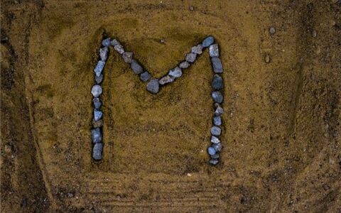 雅致的英文名怎么取？