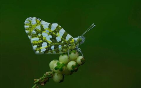 心碎的英文网名大全