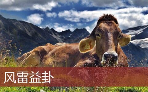风雷益卦