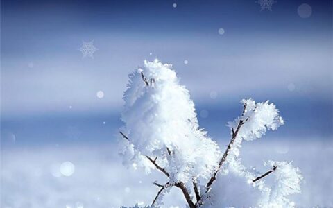 好记的英文名字