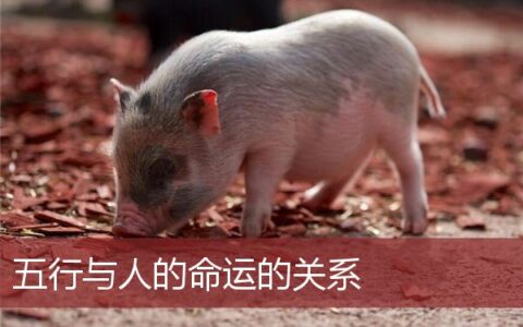 五行与人的命运的关系