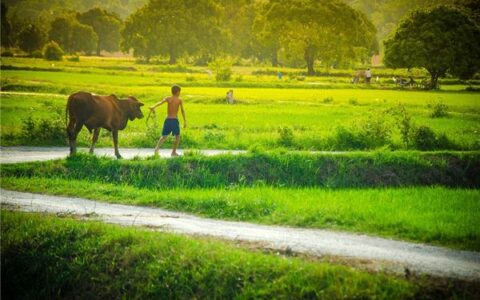 男孩英文名字大全
