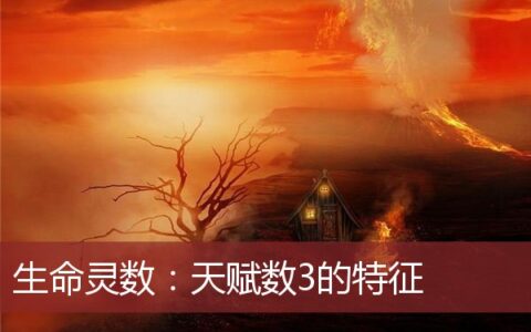 生命灵数：天赋数3的特征