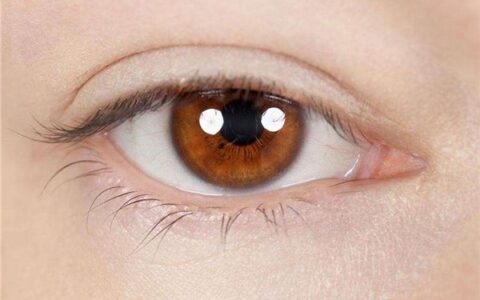 眼皮跳吉凶一览表