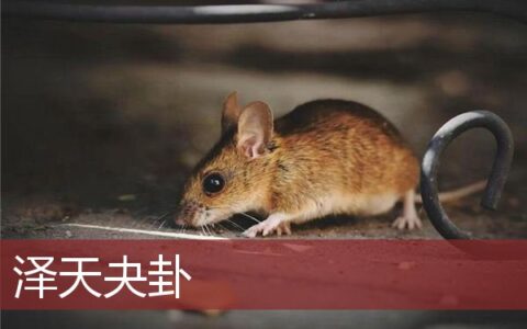 泽天夬卦