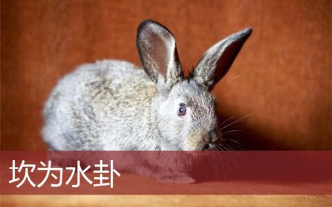 坎为水卦
