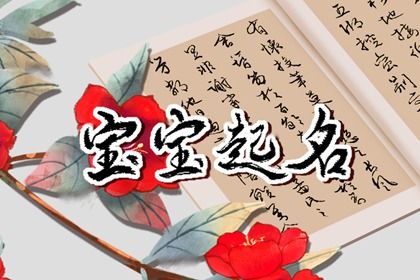 兔子的名字高雅而好听 属兔的免费起名合集