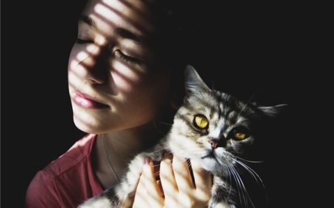 qq英文网名怎么取？