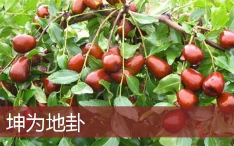 坤为地卦