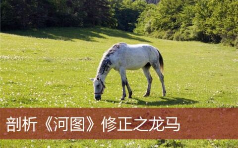 剖析《河图》修正之龙马