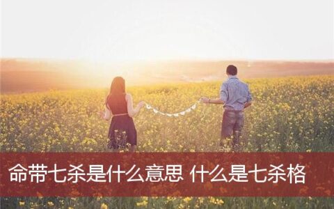 命带七杀是什么意思 什么是七杀格