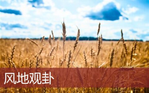 风地观卦