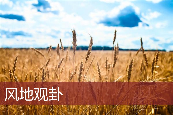 风地观卦 