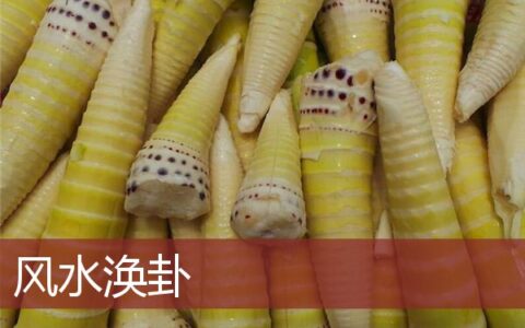 风水涣卦