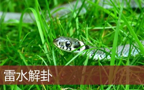 雷水解卦