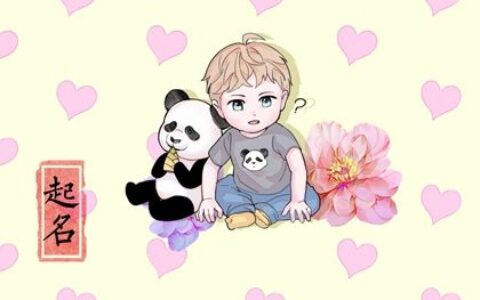 属兔男孩最吉利的字名字大全 寓意文雅的男宝宝名称