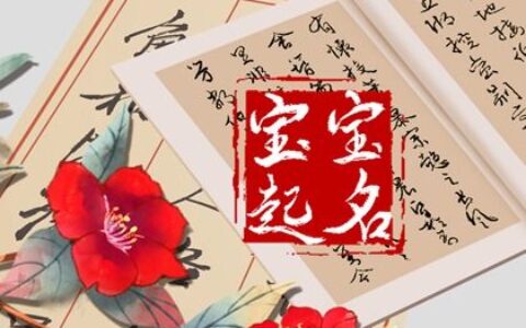 属虎高姓名字100分 风度翩翩的宝宝起名大全