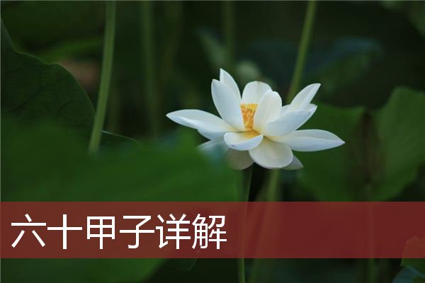 六十甲子详解