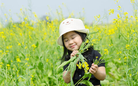 姓洪女孩名字简单大气