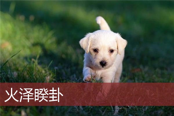 火泽睽卦