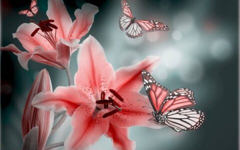 好听英文名要怎么取？