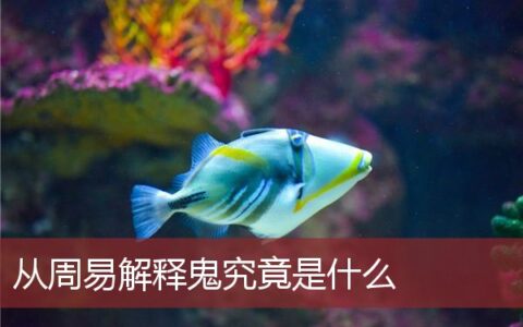 从周易解释鬼究竟是什么
