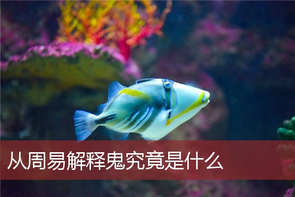 从周易解释鬼究竟是什么