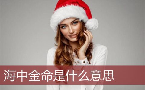 海中金命是什么意思