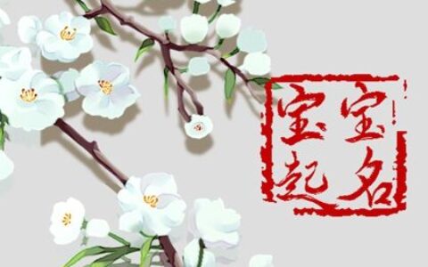 2023兔年刘姓最旺男孩名字 前程似锦的男宝宝起名大全