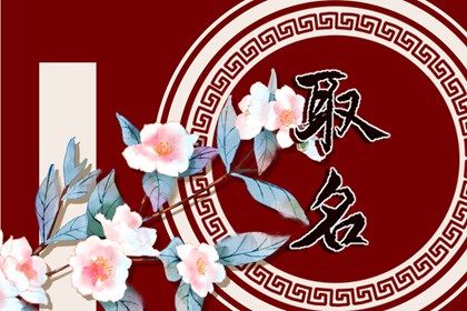 宝宝取名大全免费取名2023 有文采的孩子名字