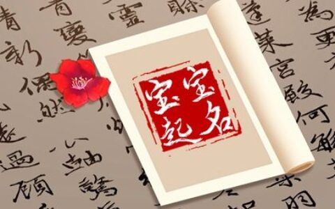 兔年2月10日出生男孩该怎么取名 能干的男宝宝名字