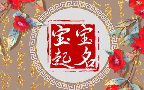 男宝宝乳名大全2022 属虎洋气点的小名大全